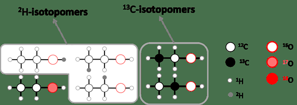 ¿Cuál es la diferencia entre isotopómero e isotopólogo?