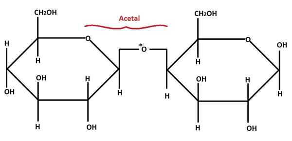 ¿Cuál es la diferencia entre Ketal y Acetal?