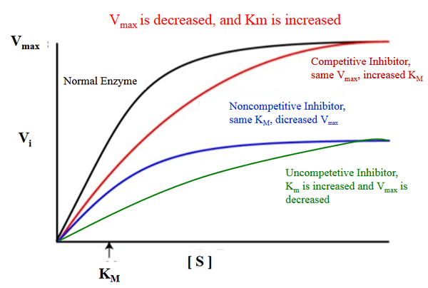 ¿Cuál es la diferencia entre km y vmax?