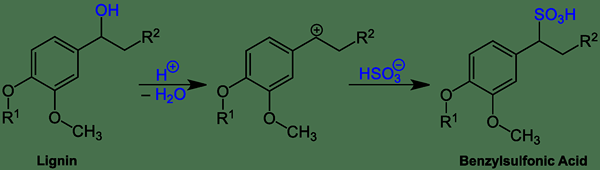 ¿Cuál es la diferencia entre Kraft lignin y lignosulfonate?