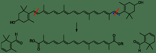 Apa perbedaan antara lutein dan zeaxanthin