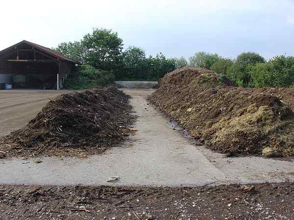 Apa perbedaan antara kotoran dan kompos