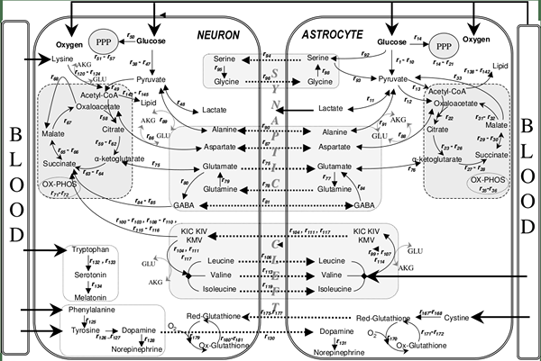 ¿Cuál es la diferencia entre el análisis de flujo metabólico y el análisis de balance de flujo?