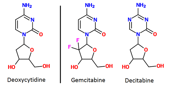 Apa perbedaan antara metabolit dan antimetabolit