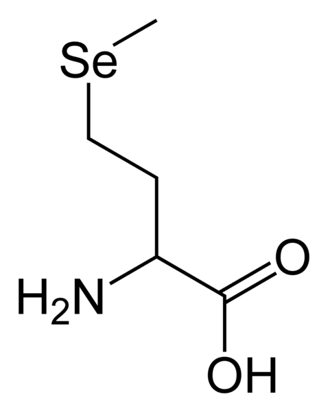 ¿Cuál es la diferencia entre metionina y selenometionina?