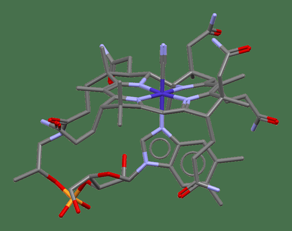 Was ist der Unterschied zwischen Methyl B12 und B12