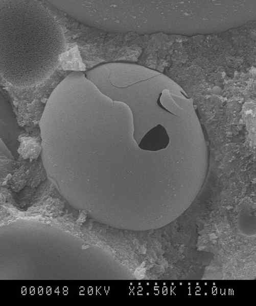 Quelle est la différence entre la microcapsule et la microsphère