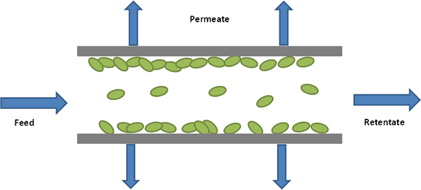 Quelle est la différence entre l'ultrafiltration de la microfiltration et la nanofiltration