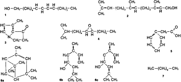 Apakah perbezaan antara formula molekul dan formula struktur