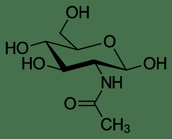 ¿Cuál es la diferencia entre N-acetil-D-glucosamina y N-acetil glucosamina