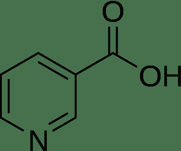 Was ist der Unterschied zwischen Niacin und Nikotinamid