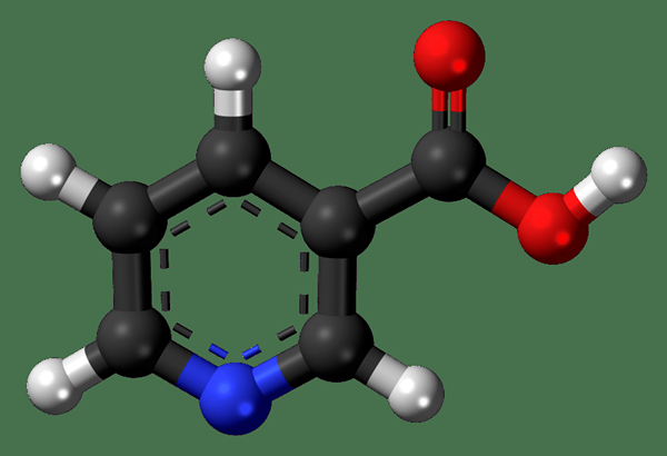 Was ist der Unterschied zwischen Nikotinsäure und Nikotinamid