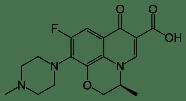 Apakah perbezaan antara ofloxacin dan levofloxacin