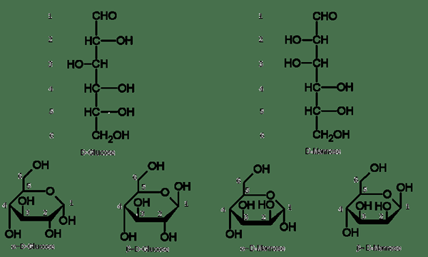 Quelle est la différence entre les hydrocarbures à chaîne ouverte et à chaîne fermée