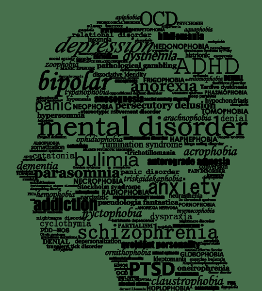¿Cuál es la diferencia entre los trastornos mentales orgánicos y funcionales?