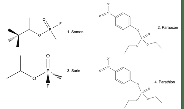 Apa perbedaan antara organoklorin dan organofosfat