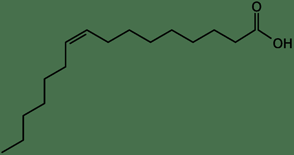 ¿Cuál es la diferencia entre el ácido palmítico y el ácido palmitolio?