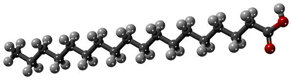 ¿Cuál es la diferencia entre el ácido palmítico y el ácido esteárico?