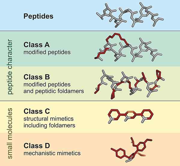 Apakah perbezaan antara peptida dan asid amino