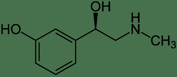 ¿Cuál es la diferencia entre fenilefrina y fenilpropanolamina?