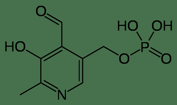 Apakah perbezaan antara pyridoxal 5 fosfat dan pyridoxine hydrochloride