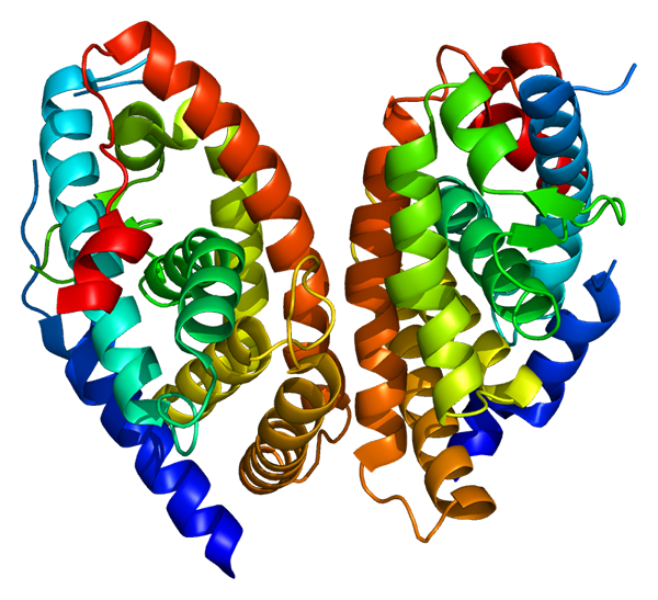 ¿Cuál es la diferencia entre el receptor de ácido retinoico alfa beta y gamma?