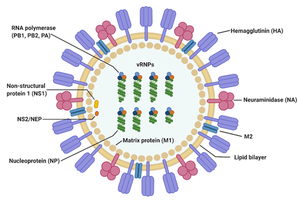 Apa perbedaan antara virus RNA dan retrovirus