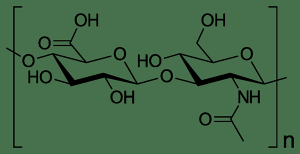 Apa perbedaan antara asam sqalane dan hyaluronic