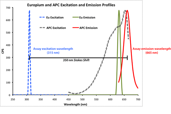 Quelle est la différence entre l'état d'équilibre et la fluorescence résolue en temps