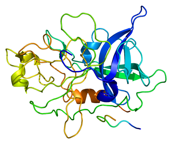 Apakah perbezaan antara streptokinase dan urokinase