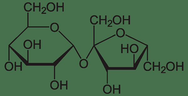 Was ist der Unterschied zwischen Saccharose und Sucralose