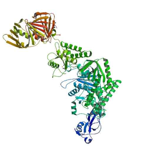 Apa perbedaan antara TAQ dan PFU polimerase