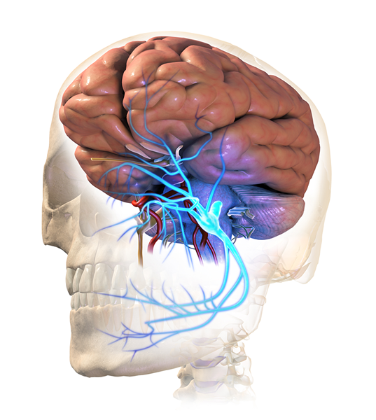 Apakah perbezaan antara neuralgia trigeminal yang biasa dan tidak biasa