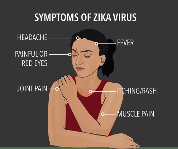 ¿Cuál es la diferencia entre Zika y Dengue?