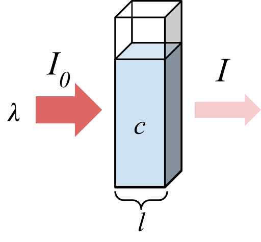 Unterschied zwischen Absorptionsvermögen und molarer Absorptionsvermögen