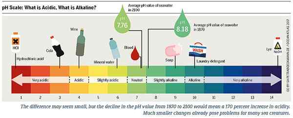 Différence entre l'acide et l'acide