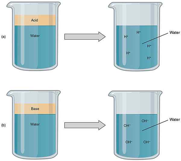 Différence entre l'acide et la base