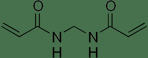 Différence entre l'acrylamide et le bisacrylamide