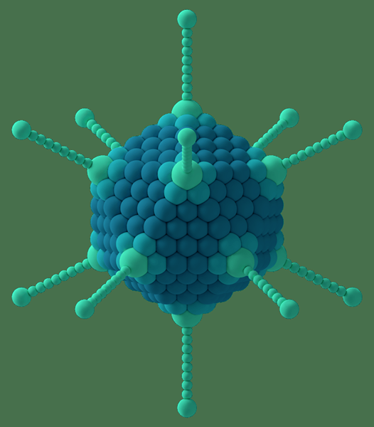 Diferencia entre el adenovirus y el retrovirus