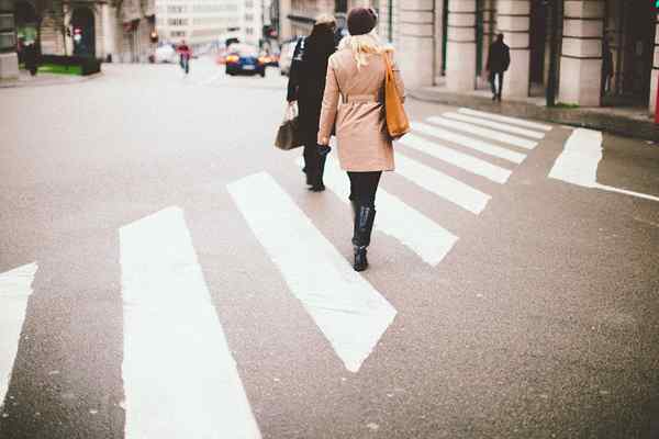 Diferencia entre a lo largo y a través