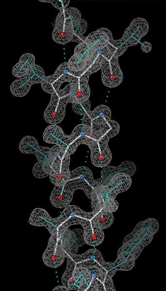 Diferencia entre Alpha Helix y Beta Pleated Sheet