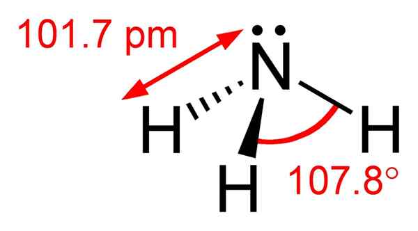 Perbezaan antara ammonia dan ammonium hidroksida