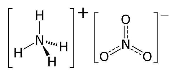 Perbezaan antara ammonia dan ammonium nitrat