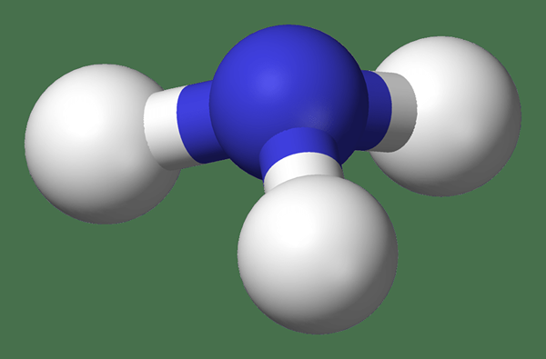 Différence entre l'ammoniac et l'ammonium