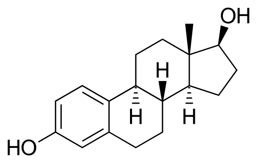 Perbezaan antara androgen dan estrogen