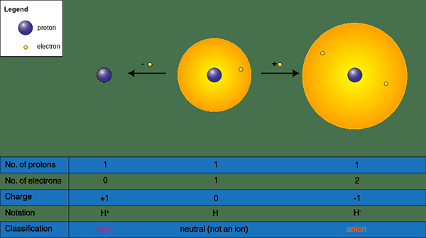 Perbezaan antara anion dan kation