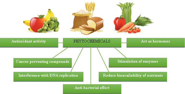 Différence entre les antioxydants et les phytochimiques