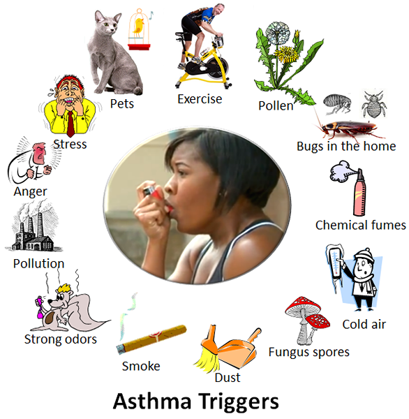 Différence entre l'asthme et la respiration sifflante