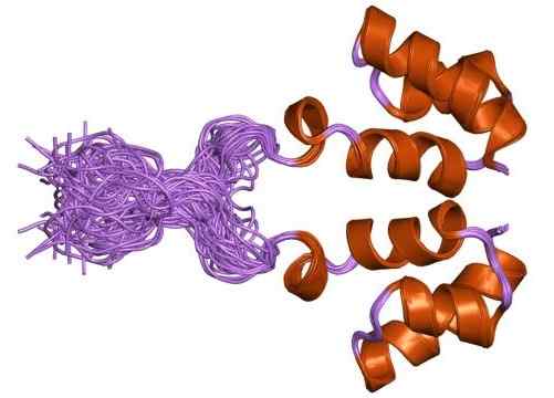 Diferencia entre transposasas bacterianas e integras retrovirales