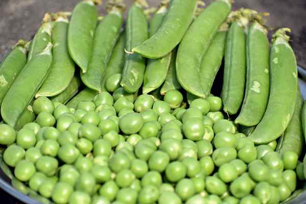 Diferencia entre frijoles y guisantes